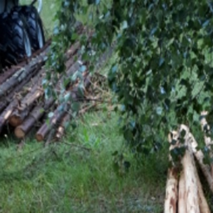 På vasstaket ska det läggas stänger, som håller taket på plats. Dessa stänger ska vara av undertryckta granar (granar som stått trångt, och inte utvecklat sig). Stängerna ska även vara barkade