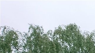 All vass är nu borttagen på den här sidan. Nu får vi hoppas att det inte kommer en störtskur.
