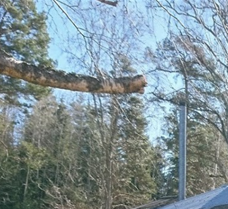 Vy från norra gaveln. Under snedtaket finns vedboden.