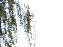 Nu är ladugården rödfärgad och dörren och luckan målad. Juli 2020.